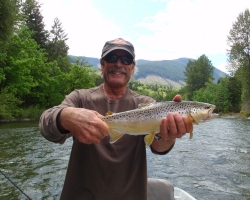 Cowichan river brown trout