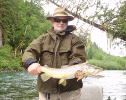 Cowichan river brown trout
