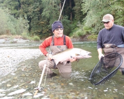 Nitinat chinook