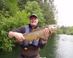 Cowichan river brown trout