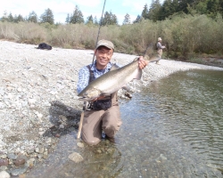 Nitinat river chinook