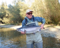 Nitinat river coho