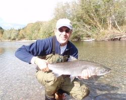 San Juan river coho