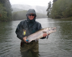 Nitinat river coho