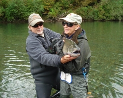 Nitinat river chinook