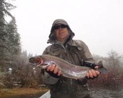 Cowichan river rainbow trout