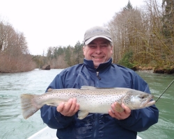 Cowichan river brown trout