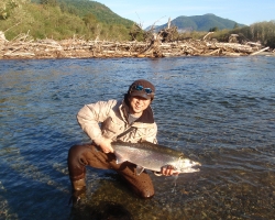 Nitinat river coho