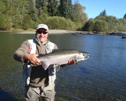 Coho salmon