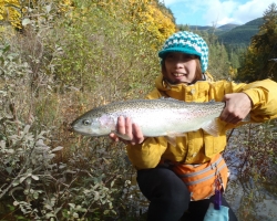 Steelhead 