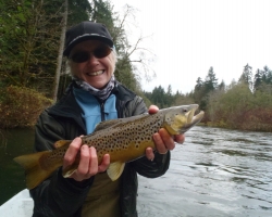 Brown Trout