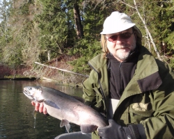 Cowichan river coho