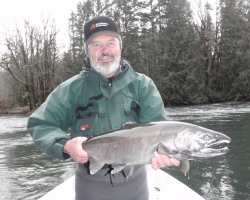 Cowichan river coho