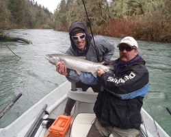 Cowichan river steelhead