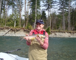 Cowichan river brown trout