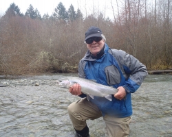 Cowichan river steelhead