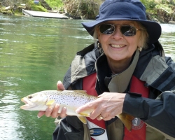 Cowichan river brown trout