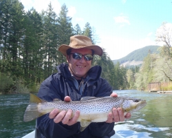Cowichan river brown trout