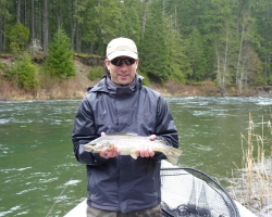 Cowichan river brown trout