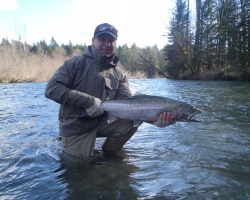 Cowichan river steelhead