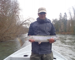 Cowichan river steelhead