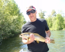 Cowichan river brown trout