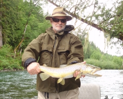 Cowichan river brown trout