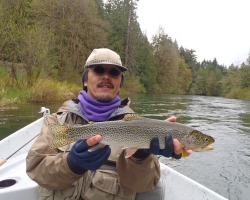 Cowichan river coho