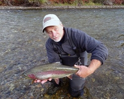 Rainbow trout