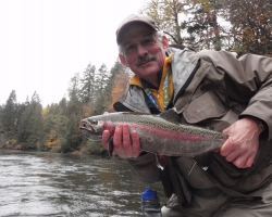 Cowichan river rainbow trout