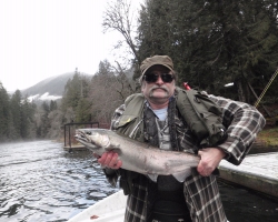 Cowichan river coho